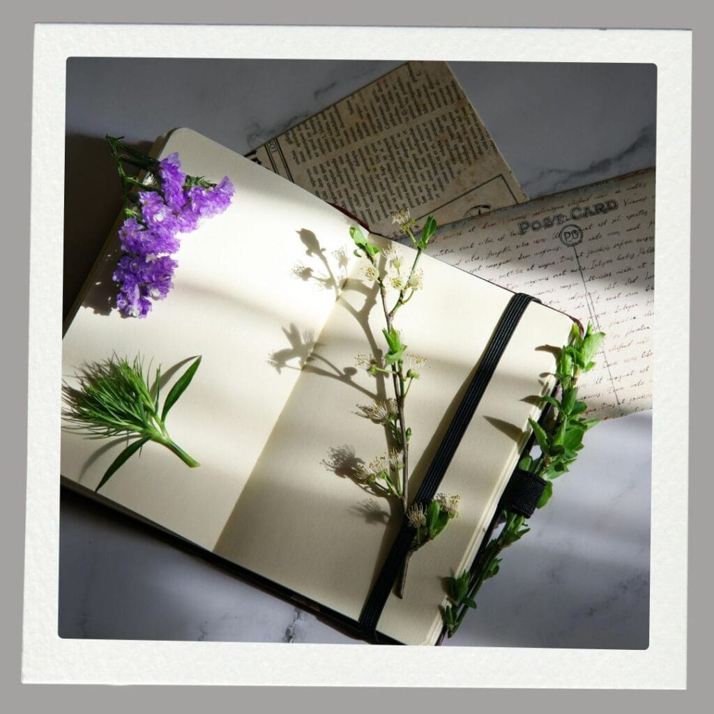 Calm, aesthetic scene with a journal, and flower — reflecting the question 'Is this perfume worth the hype?'