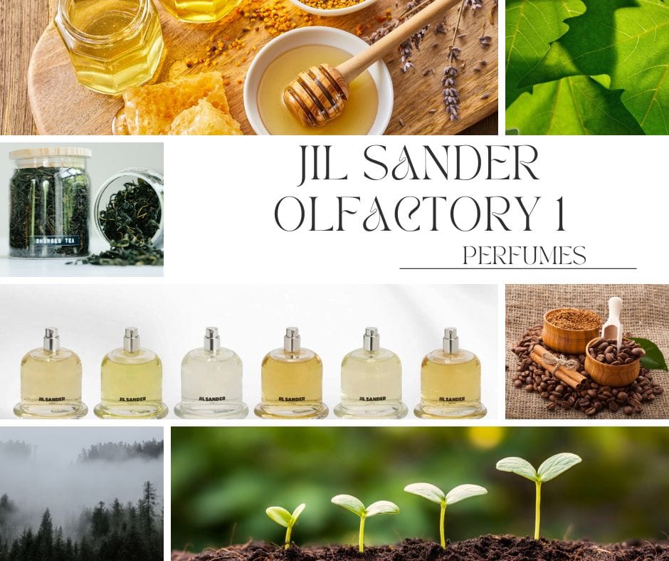 jil-sander-olfactory-perfumes-the-scents-of-quit-luxury