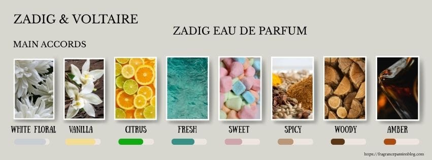 zadig-eau-de-parfum-main-accords