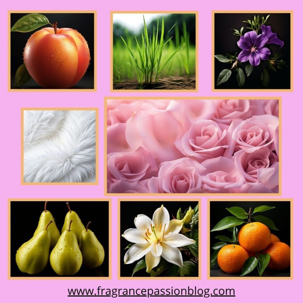 fleur majesty rose royale