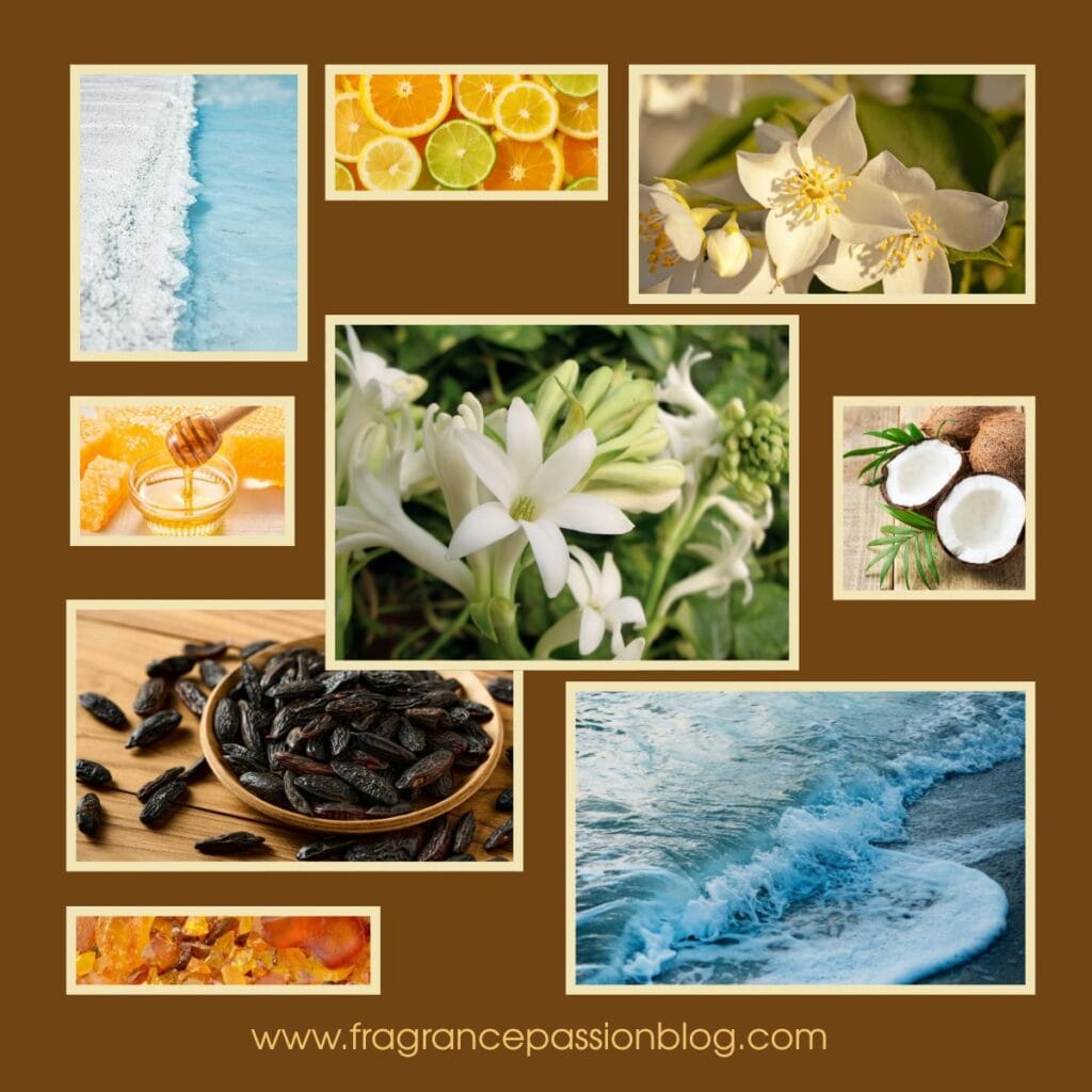 divine-elixir-perfume-fragrance-notes