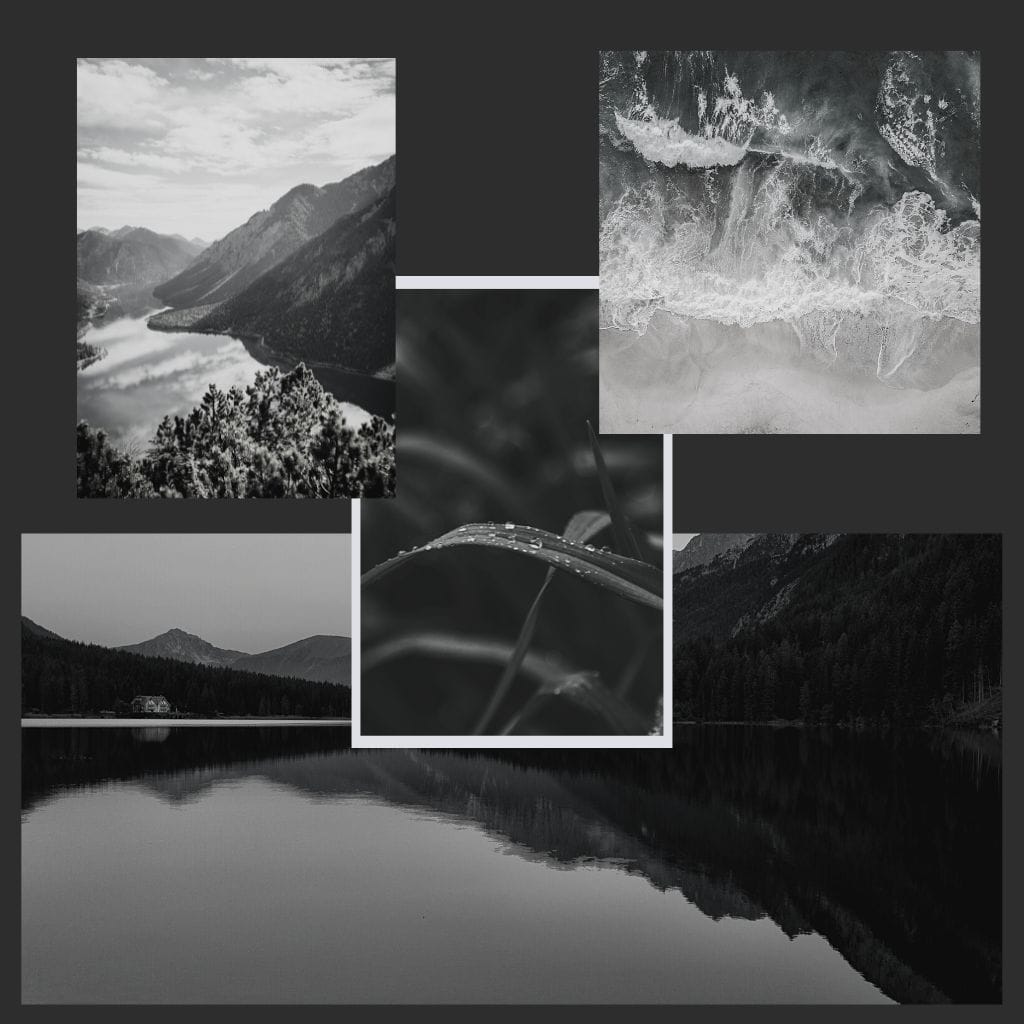 fragrance-passion-blog-about-me