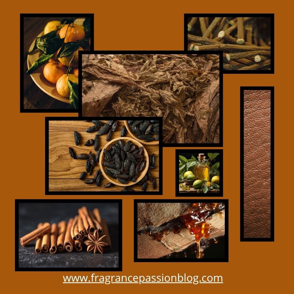 havana-gold-perfume-fragrance-notes