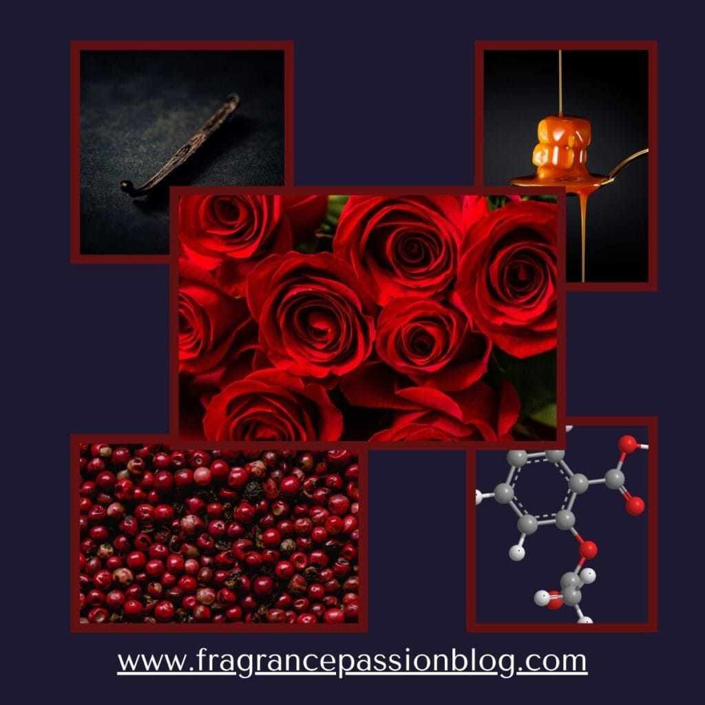 initio-cant-get-enough-fragrance-notes
