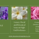Luxury Floral and Botanical Notes in High-End Perfumes