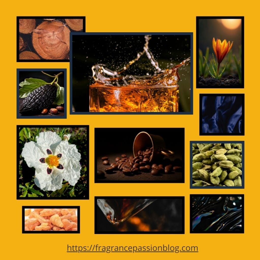 luxury-winter-fragrances-2025-omanluxury-caden-fragrance-notes