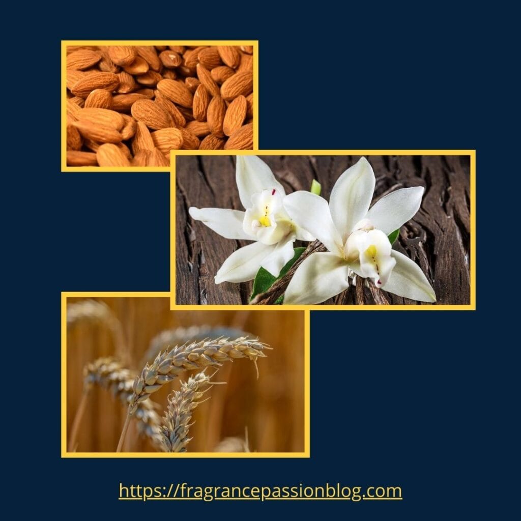 Winter Luxury Fragrances 2025 –The Scents No One Will Forget Une Nuit Nomade Chemin d'Amande Fragrance Notes
