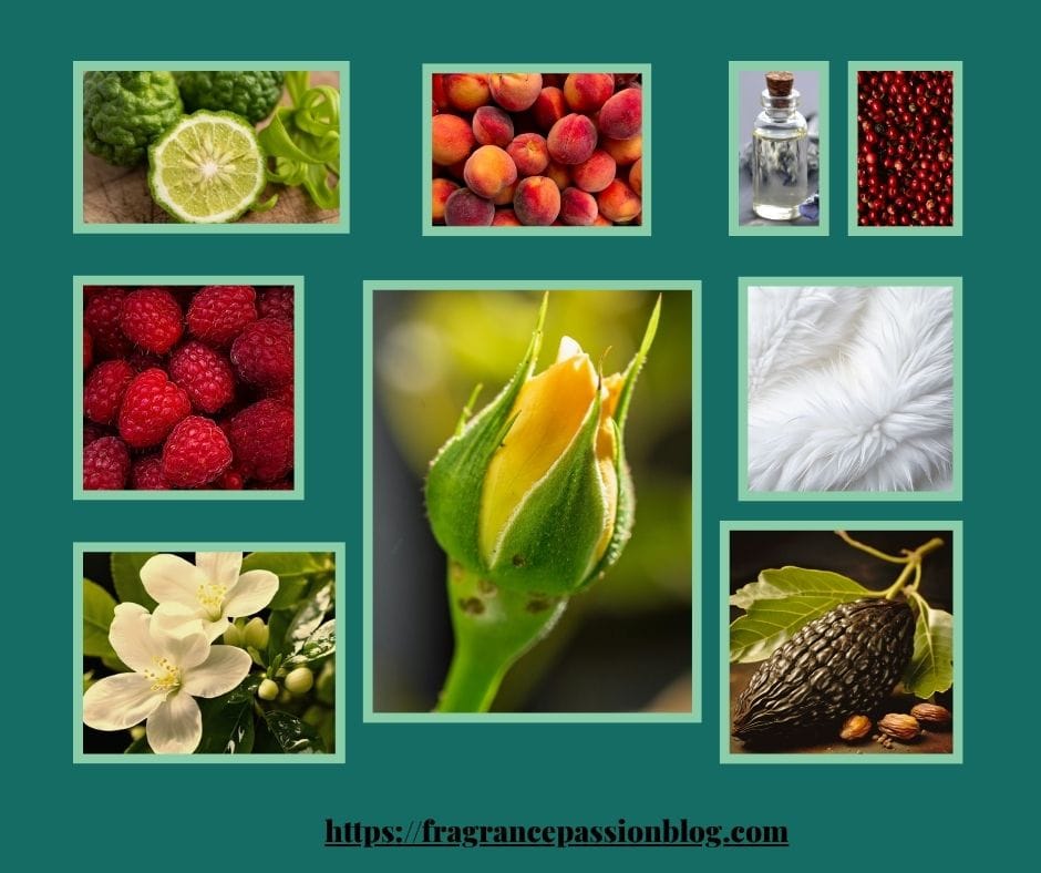 versace-crystal-emerald-fragrance-notes