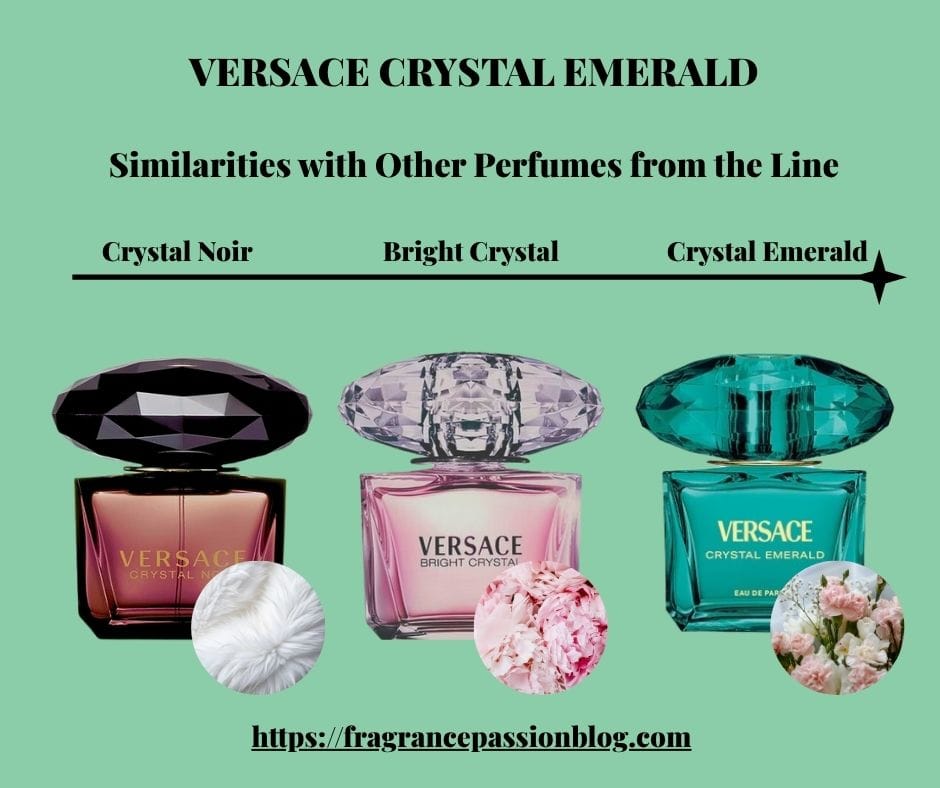 versace-crystal-emerald-similarities-with-other-perfumes-from-the-line