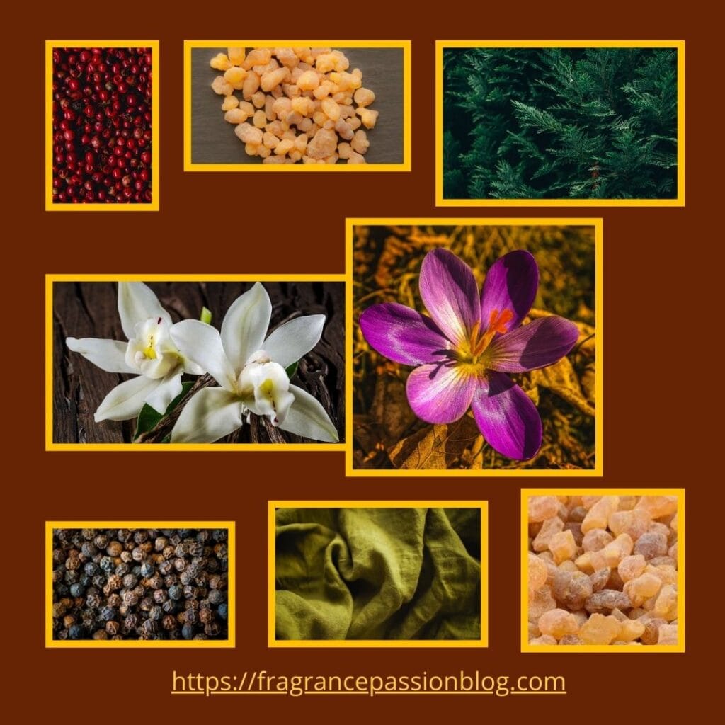 Winter Luxury Fragrances 2025 –The Scents No One Will Forget
ysl-babycat-raw-bourbon-fragrance-notes