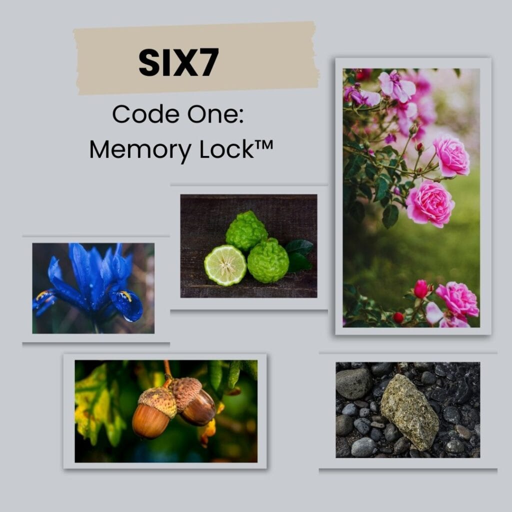 six7-code-one-memory-lock-fragrance-notes