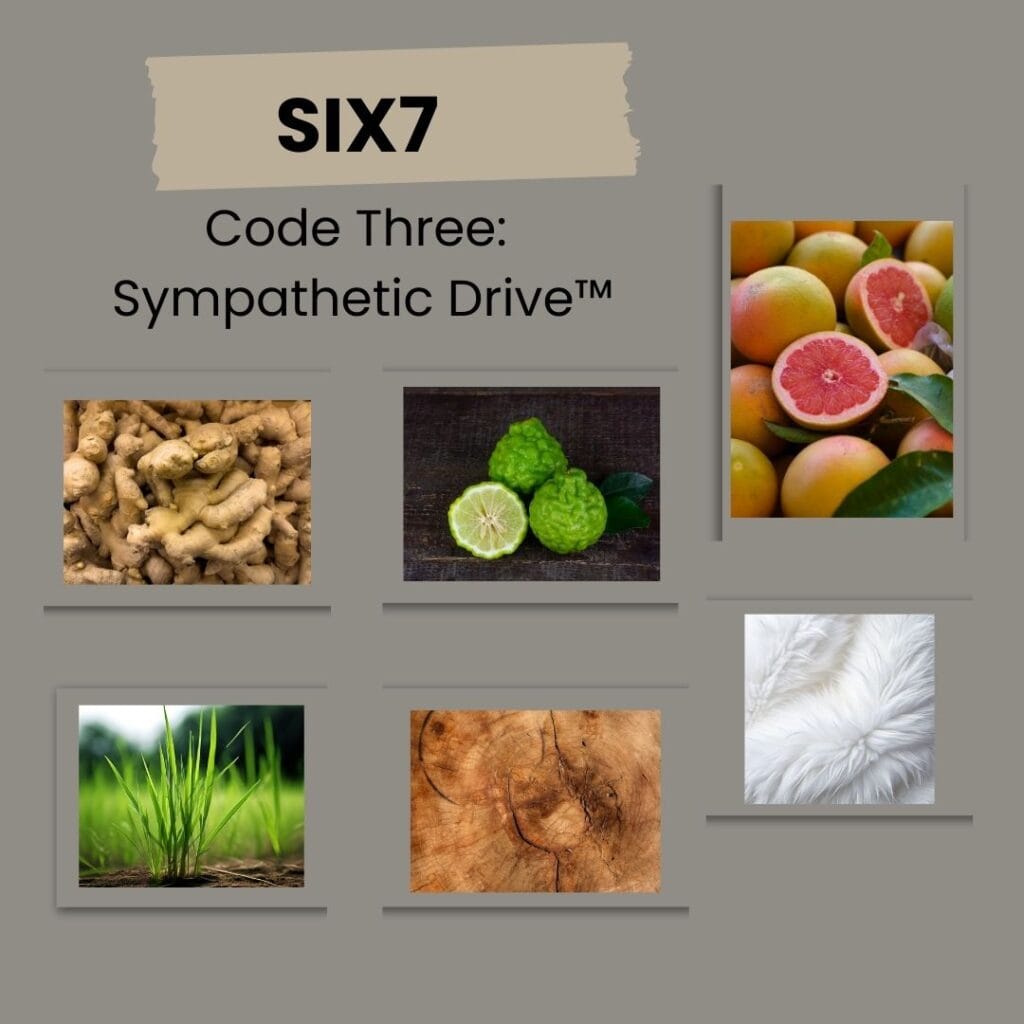 The New Perfume Brand SIX7 six7-code-three-sympathetic-drive