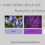 Sora Dora Raphael Review – New Iris Musk Release 2026