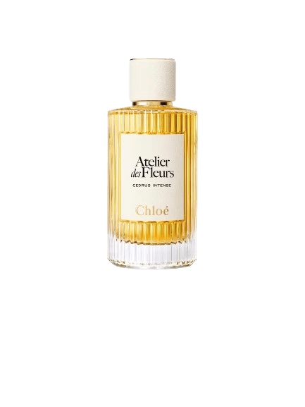 chloe-cedrus-intense-eau-de-parfum-2025-release