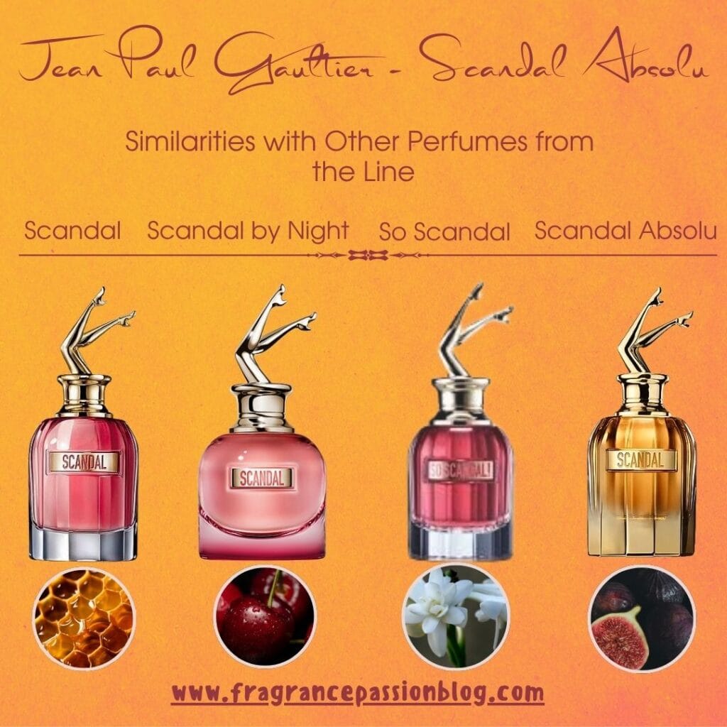 gaultier-scandal-absolu-similarities-with-other-perfumes-from-the-line
