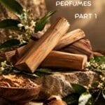 5 Best Niche Sandalwood Perfumes Part 1: Editor’s Pick